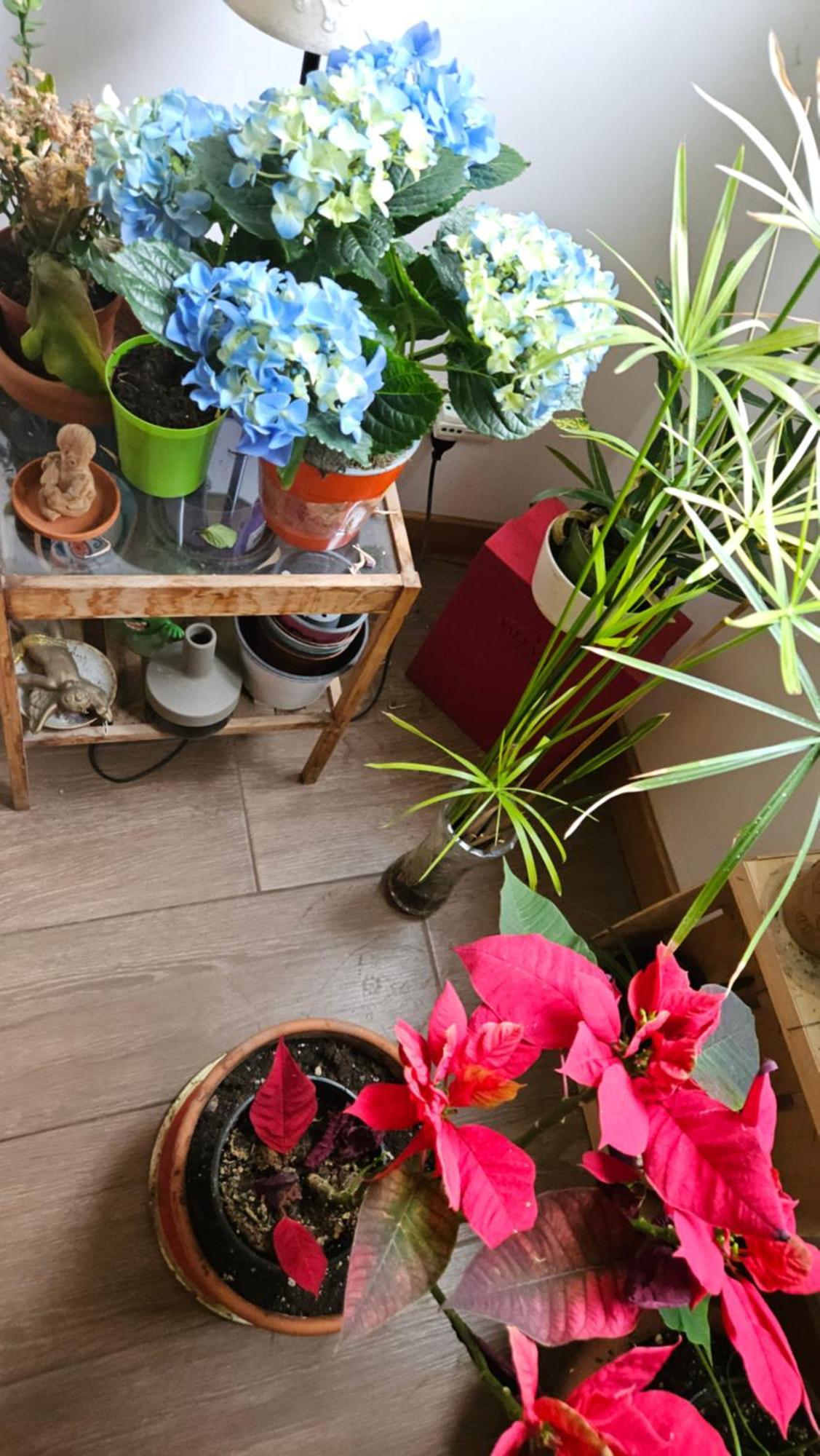 Bed and Breakfast Ulysses In Рим Екстер'єр фото